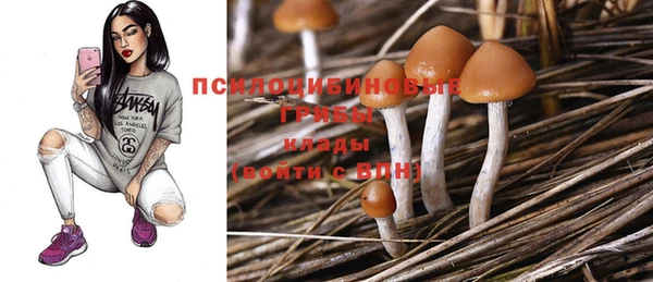 прущая мука Бородино