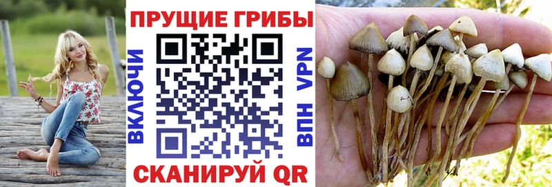 Галлюциногенные грибы Magic Shrooms  закладки  mega маркетплейс  Короча 